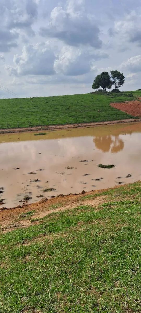 Fazenda à venda de 53 ha em Ibiúna, SP, Brasil