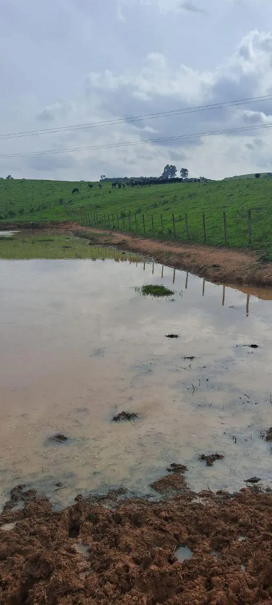 Fazenda à venda de 53 ha em Ibiúna, SP, Brasil
