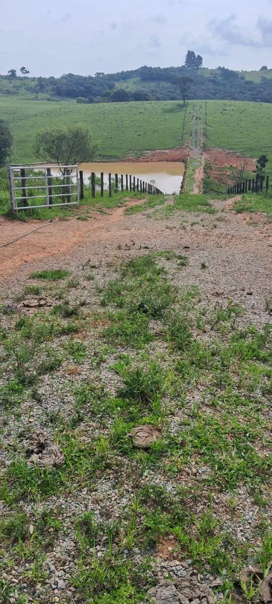 Fazenda à venda de 53 ha em Ibiúna, SP, Brasil