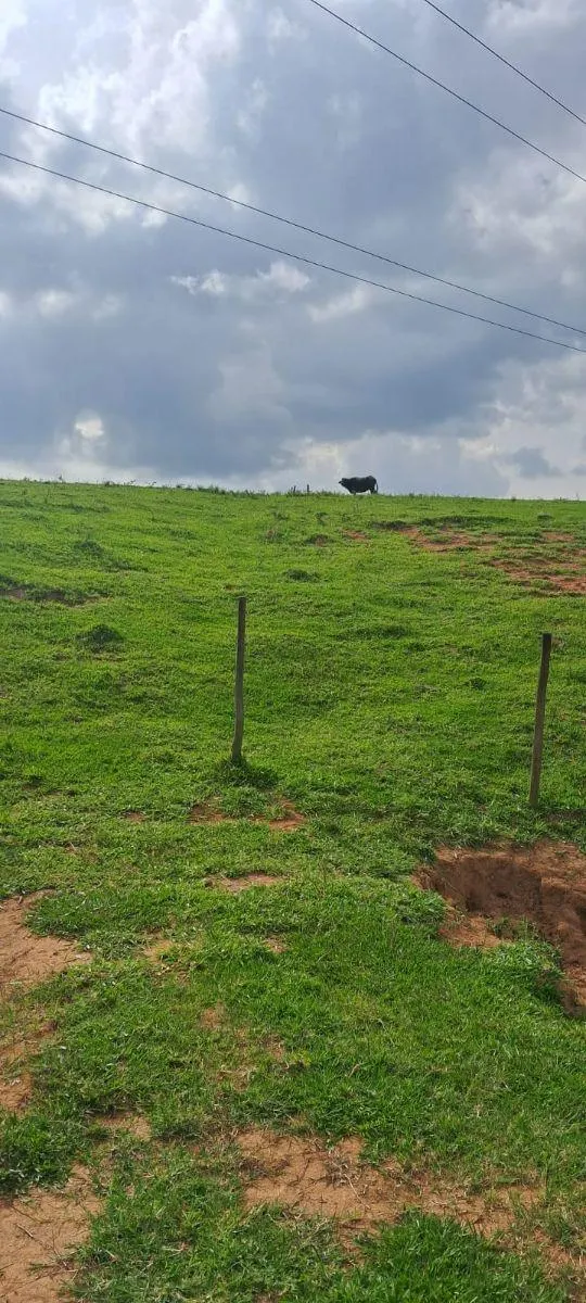 Fazenda à venda de 53 ha em Ibiúna, SP, Brasil
