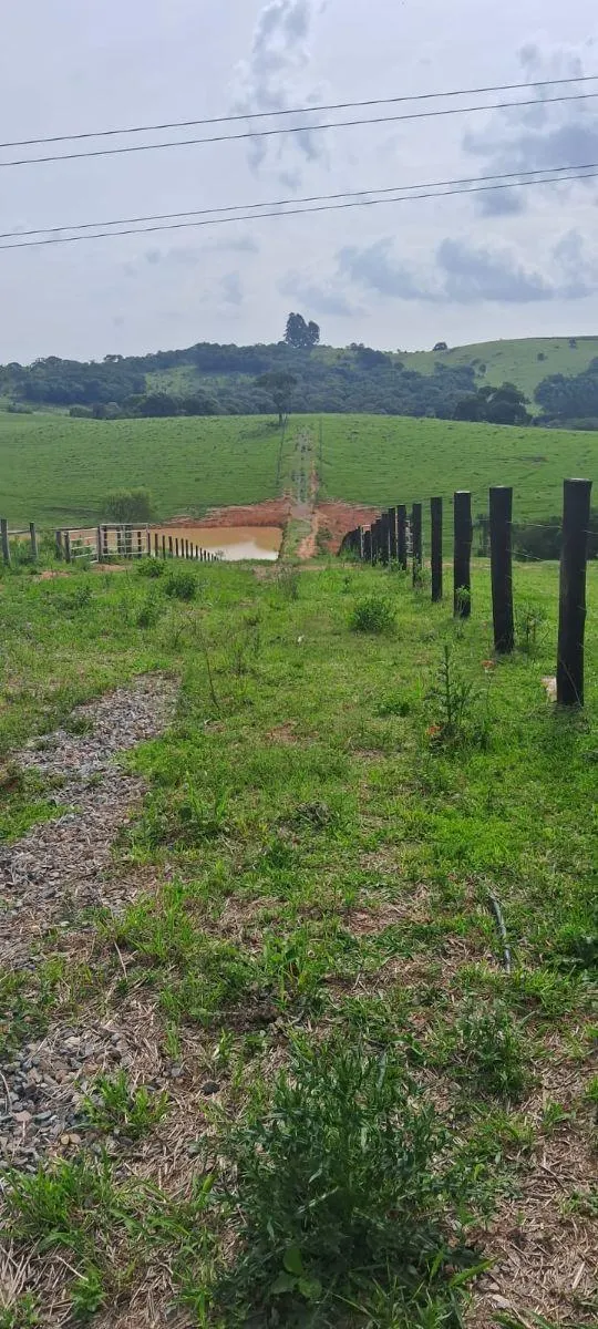 Fazenda à venda de 53 ha em Ibiúna, SP, Brasil