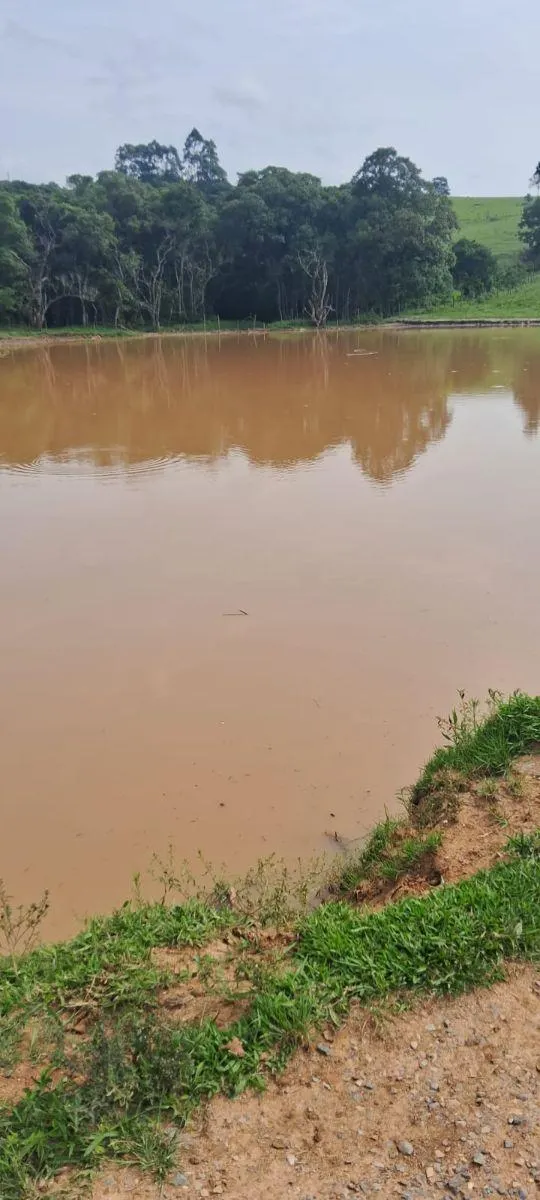 Fazenda à venda de 53 ha em Ibiúna, SP, Brasil