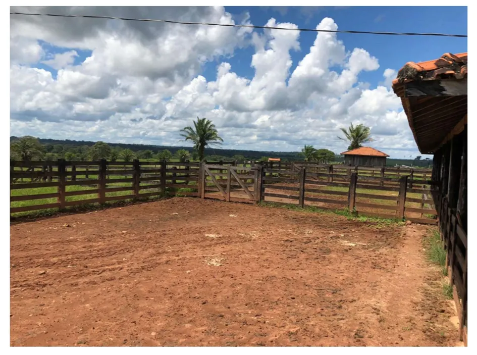 Fazenda à venda de 2.221 ha em Pimenta Bueno, RO, Brasil