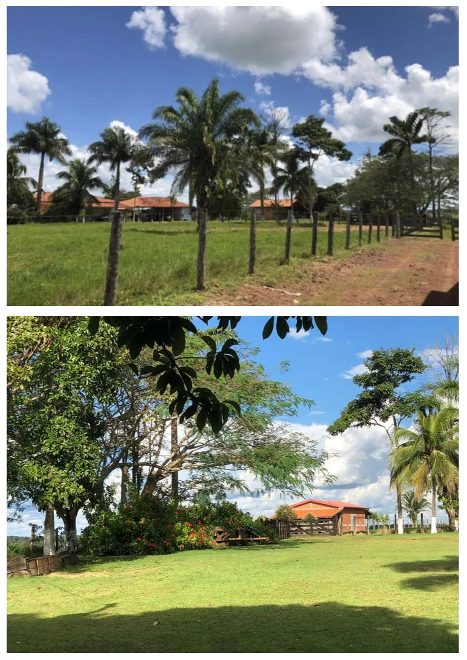 Fazenda à venda de 2.221 ha em Pimenta Bueno, RO, Brasil