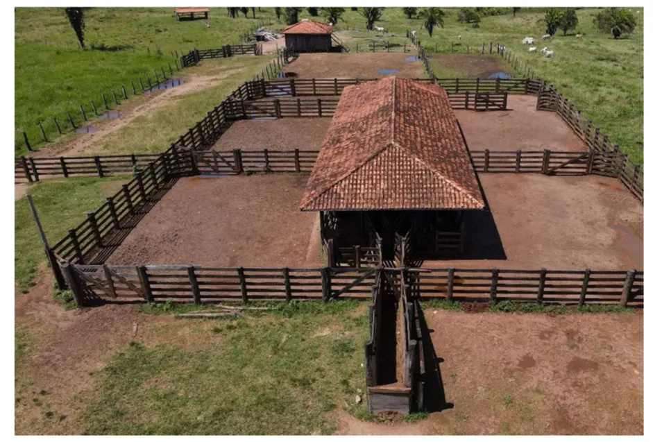 Fazenda à venda de 2.221 ha em Pimenta Bueno, RO, Brasil
