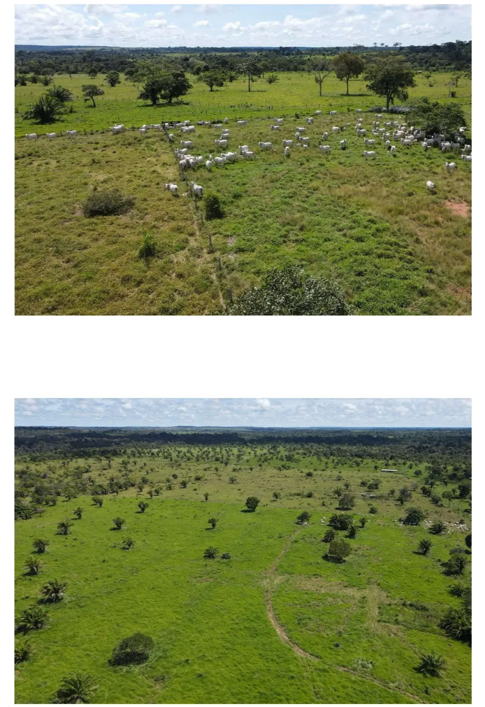 Fazenda à venda de 2.221 ha em Pimenta Bueno, RO, Brasil