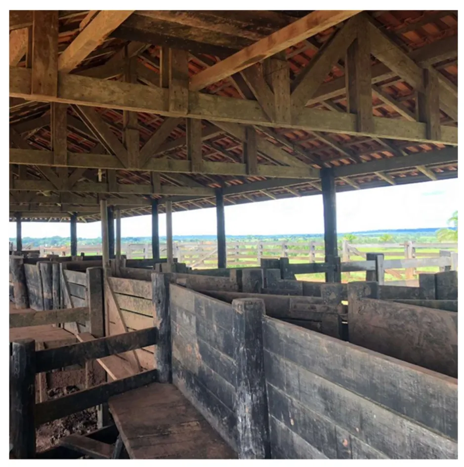 Fazenda à venda de 2.221 ha em Pimenta Bueno, RO, Brasil