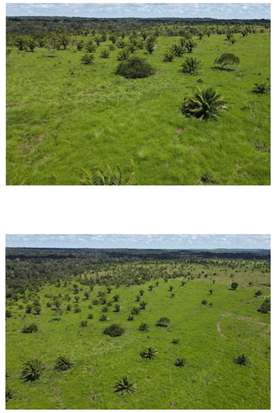 Fazenda à venda de 2.221 ha em Pimenta Bueno, RO, Brasil