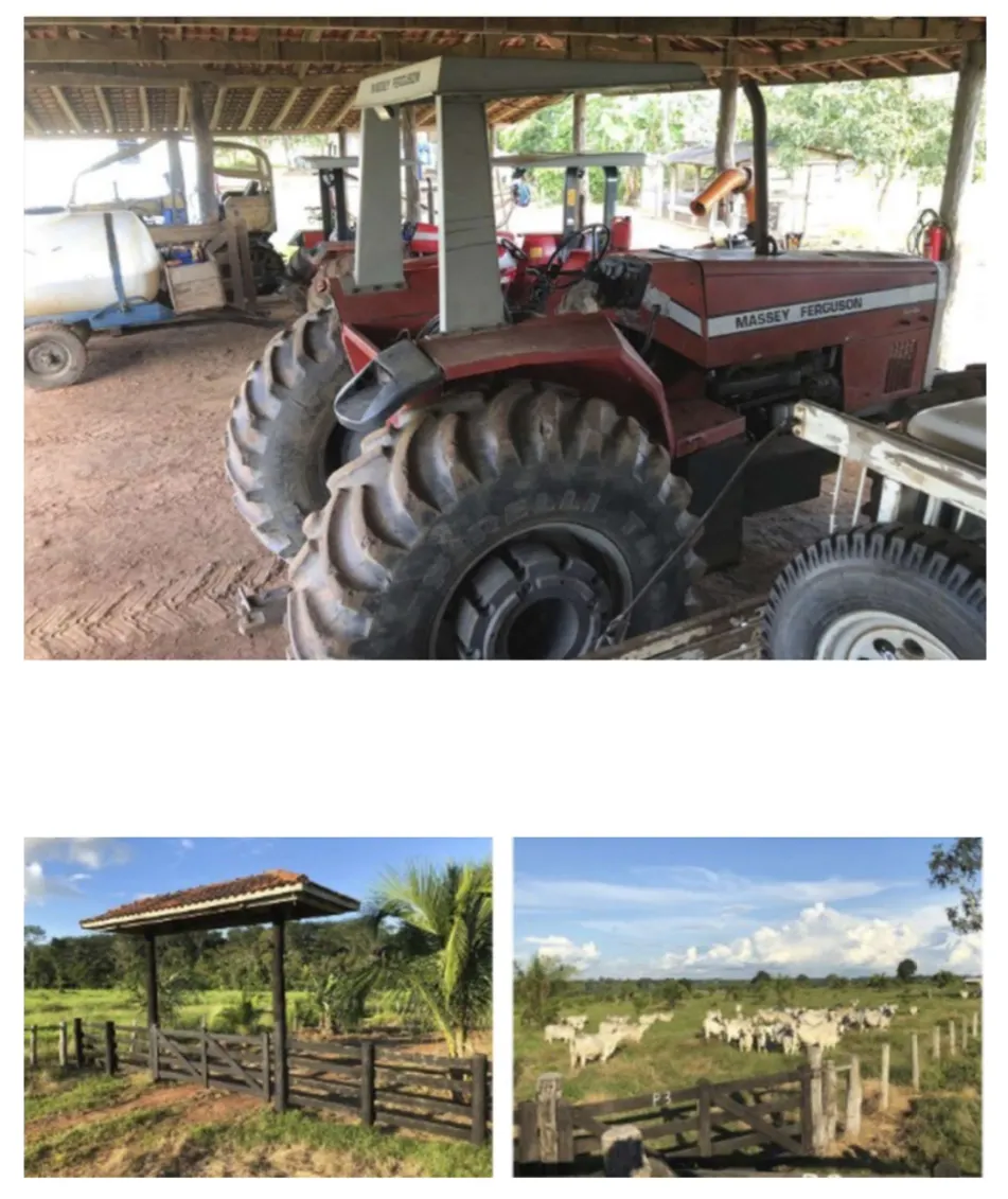 Fazenda à venda de 2.221 ha em Pimenta Bueno, RO, Brasil