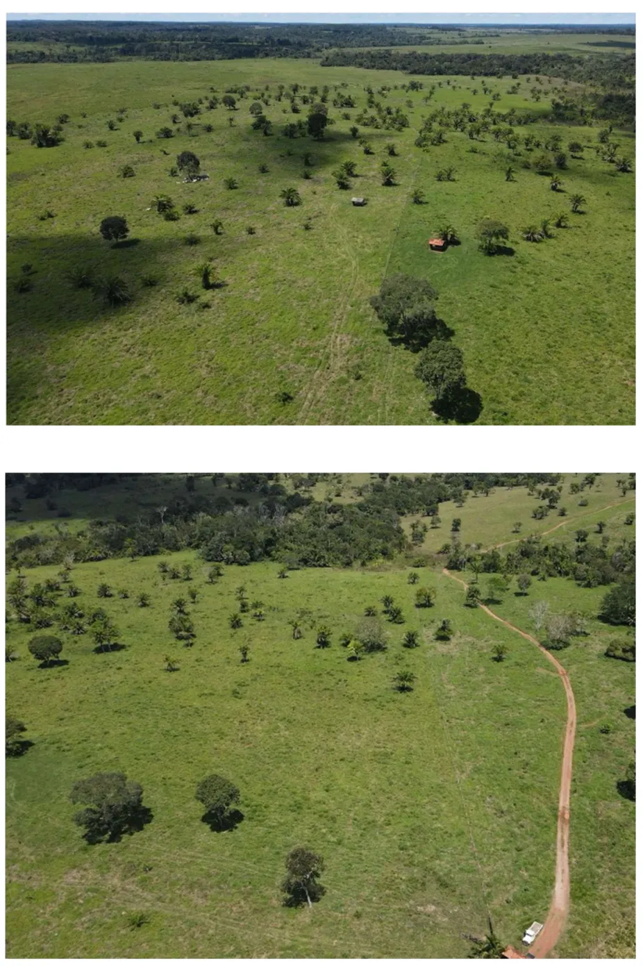 Fazenda à venda de 2.221 ha em Pimenta Bueno, RO, Brasil