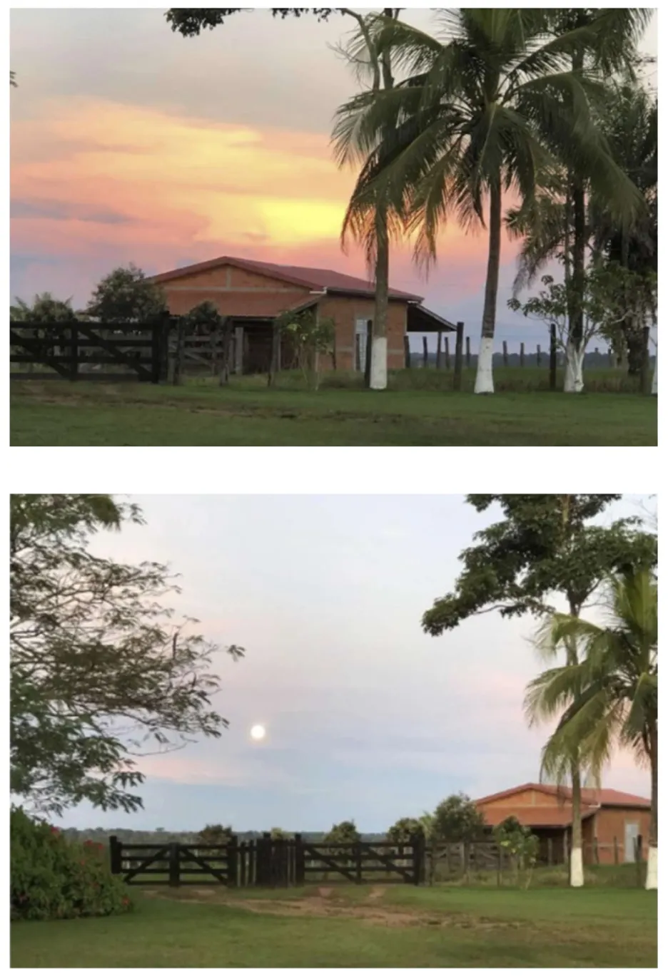 Fazenda à venda de 2.221 ha em Pimenta Bueno, RO, Brasil