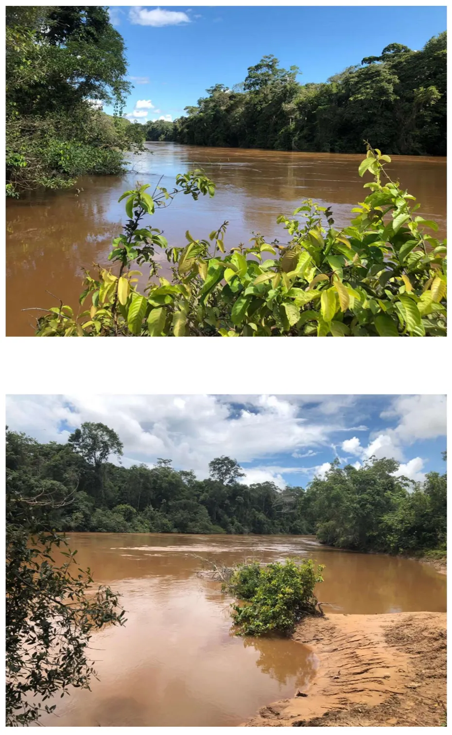 Fazenda à venda de 2.221 ha em Pimenta Bueno, RO, Brasil