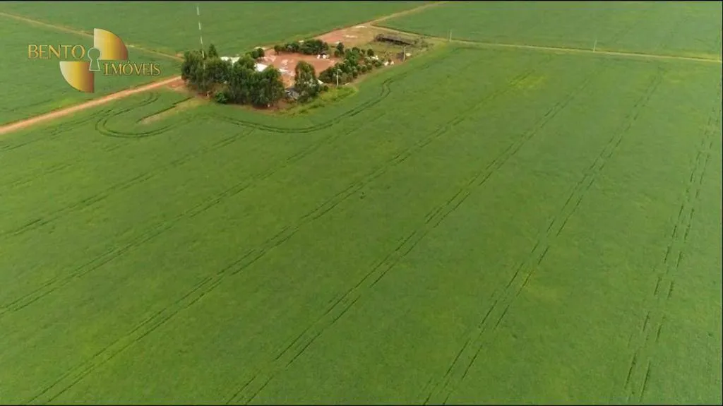 Fazenda à venda e para Arrendar de 5.050 ha em Sinop, MT, Brasil