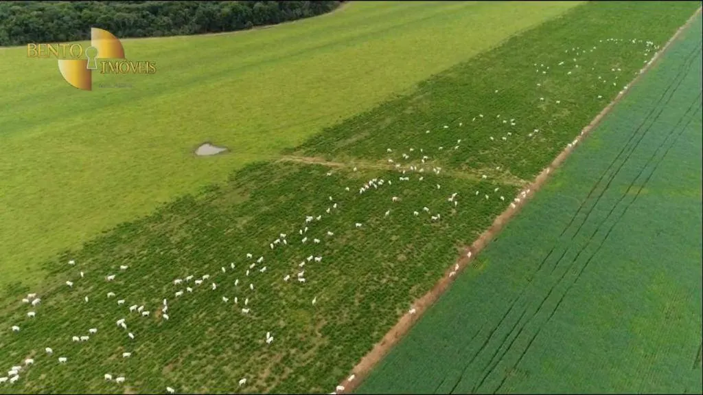 Fazenda à venda e para Arrendar de 5.050 ha em Sinop, MT, Brasil