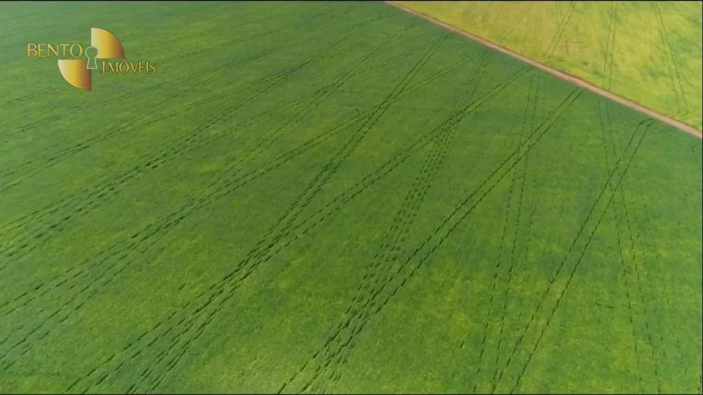 Fazenda à venda e para Arrendar de 5.050 ha em Sinop, MT, Brasil