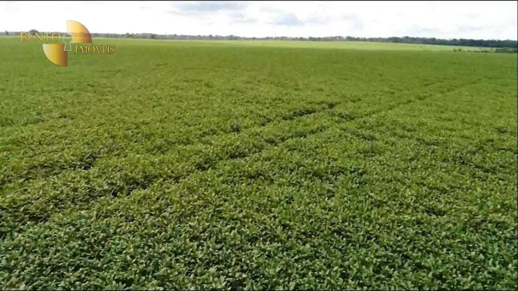 Fazenda à venda e para Arrendar de 5.050 ha em Sinop, MT, Brasil