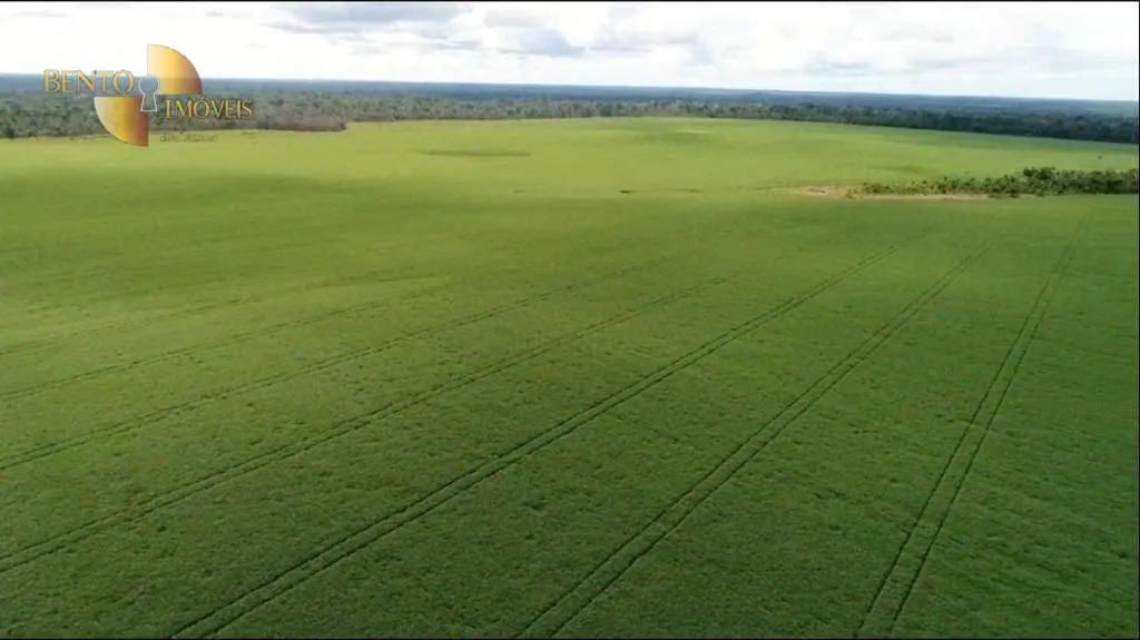 Fazenda à venda e para Arrendar de 5.050 ha em Sinop, MT, Brasil