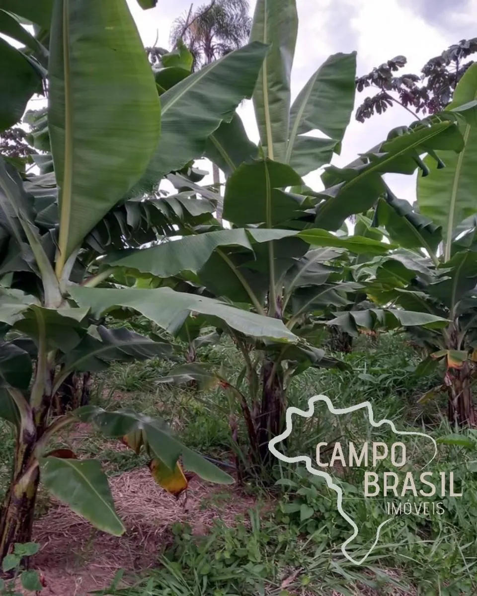 Country home for sale of 7 acres in Jacareí, SP, Brazil