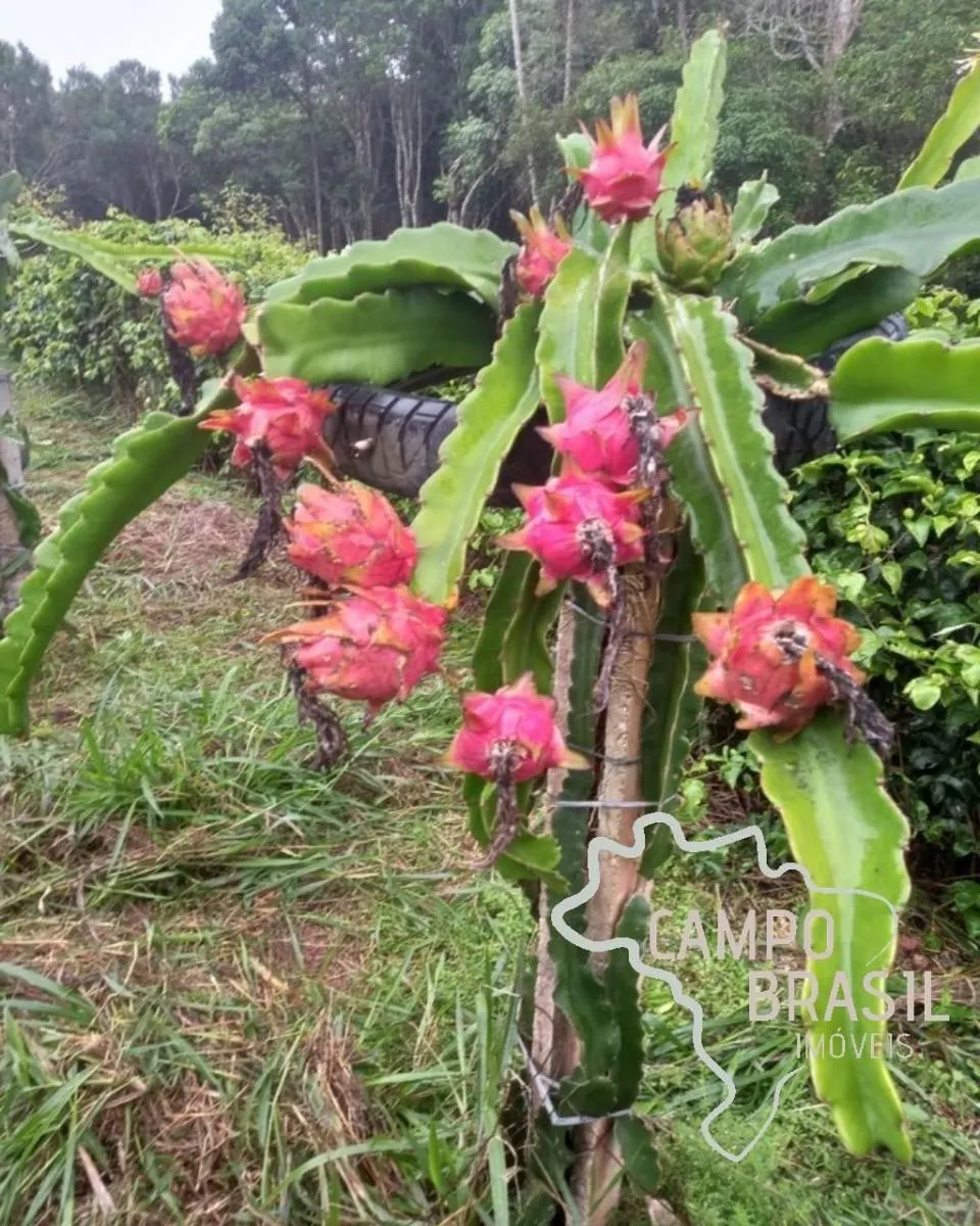 Country home for sale of 7 acres in Jacareí, SP, Brazil