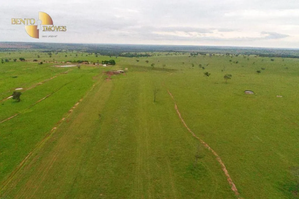 Farm for sale of 16,556 acres in Cassilândia, MS, Brazil