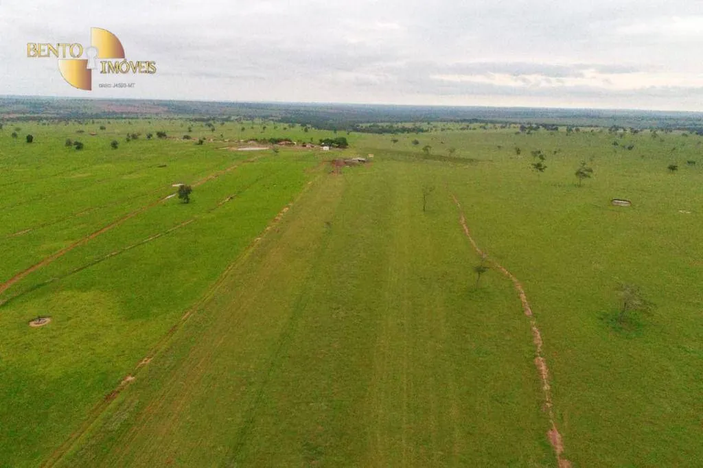 Farm for sale of 16,556 acres in Cassilândia, MS, Brazil