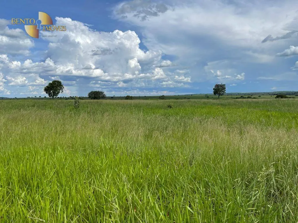 Farm for sale of 16,556 acres in Cassilândia, MS, Brazil