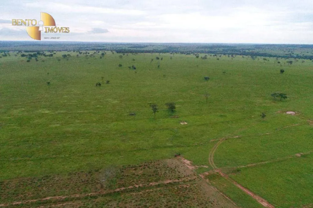 Farm for sale of 16,556 acres in Cassilândia, MS, Brazil