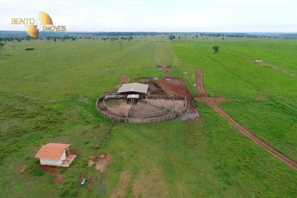Farm for sale of 16,556 acres in Cassilândia, MS, Brazil