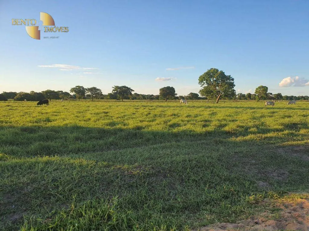 Farm for sale of 16,556 acres in Cassilândia, MS, Brazil