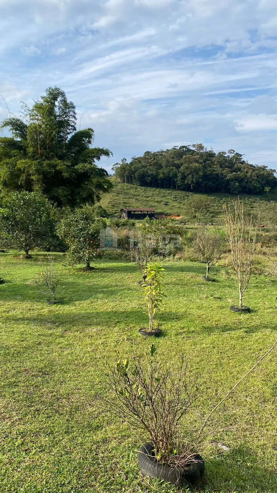 Fazenda à venda de 84 ha em Tijucas, SC, Brasil