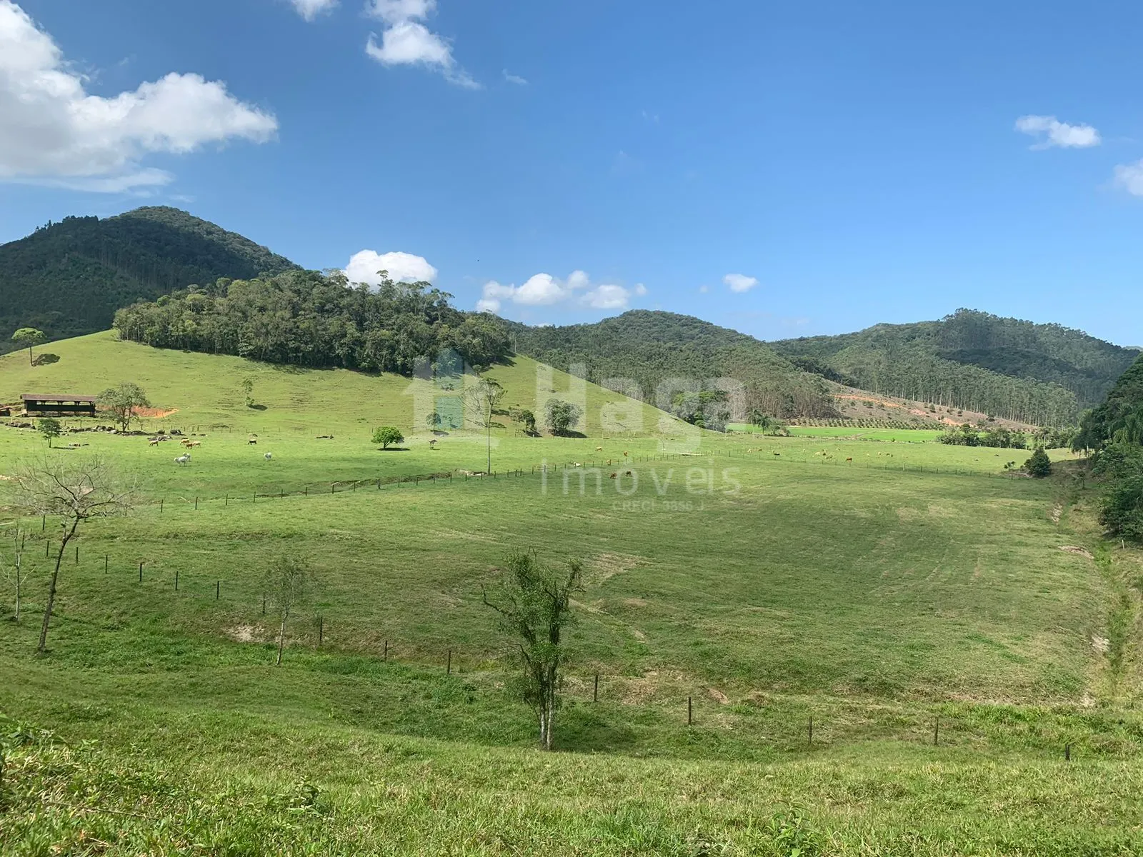 Fazenda à venda de 84 ha em Tijucas, SC, Brasil