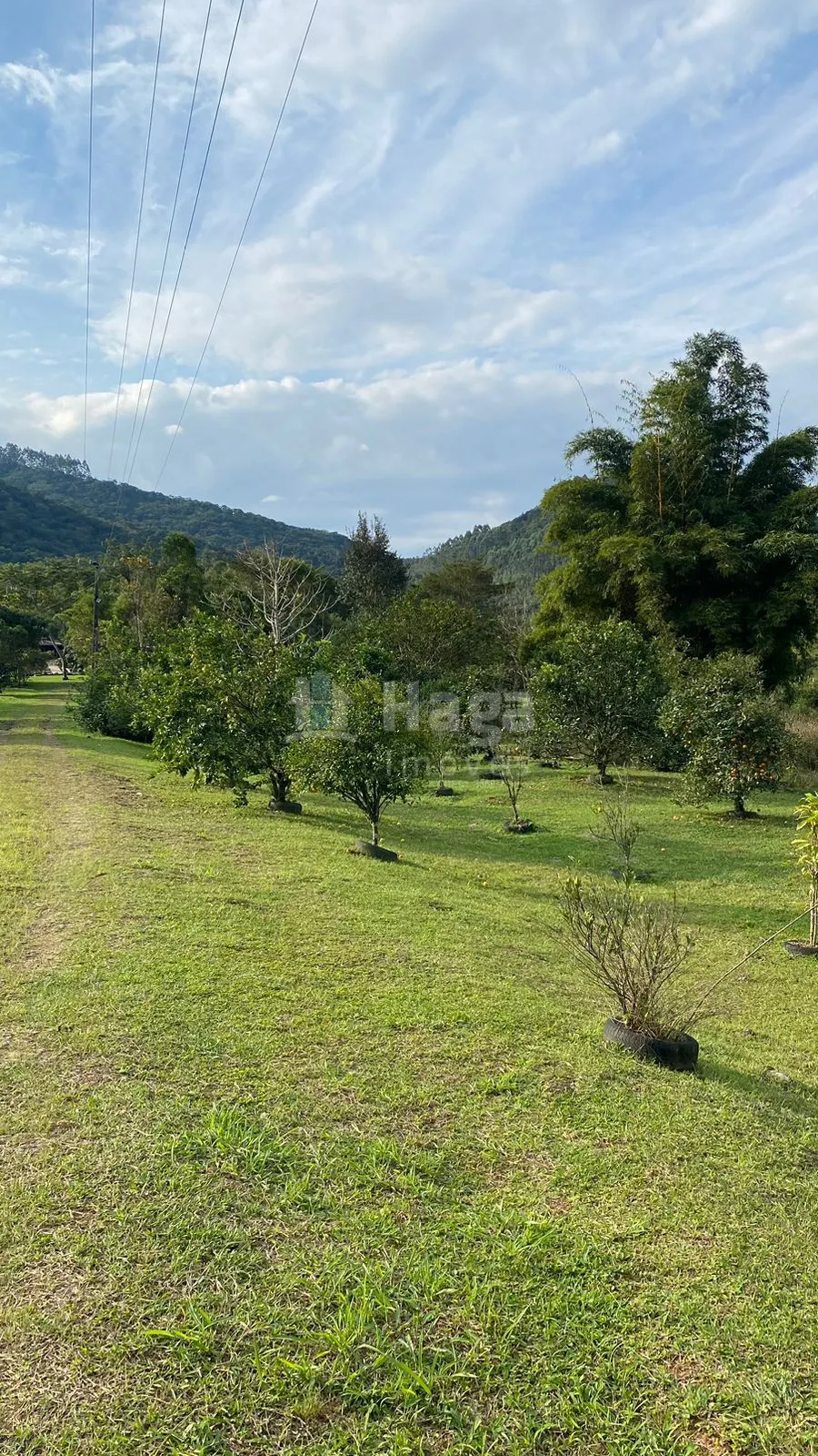 Fazenda à venda de 84 ha em Tijucas, SC, Brasil
