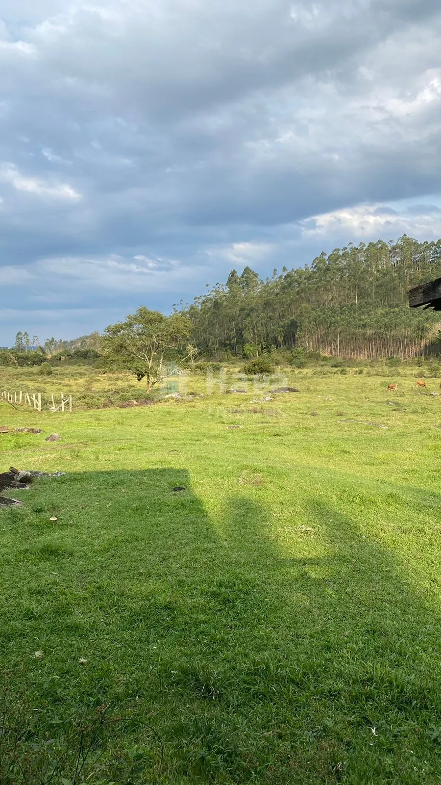 Fazenda à venda de 84 ha em Tijucas, SC, Brasil