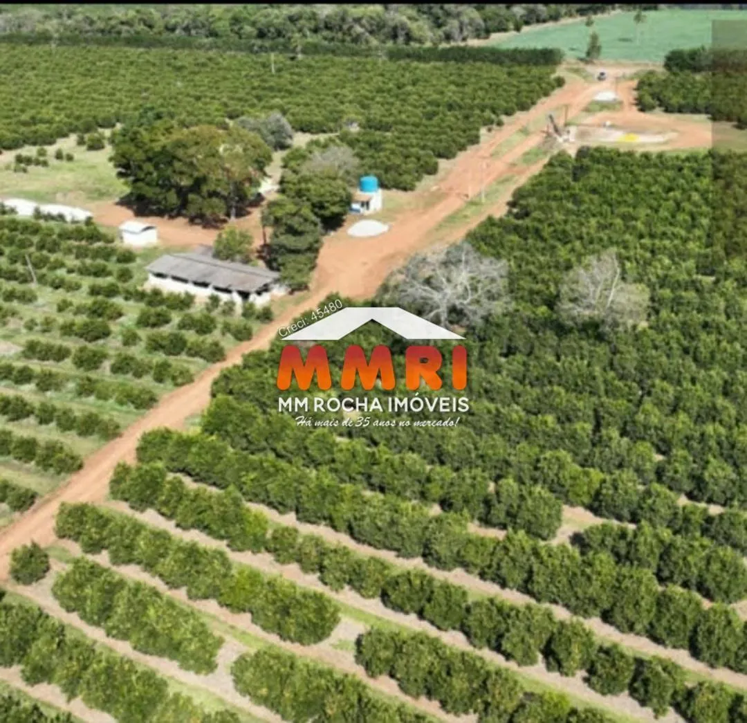 Fazenda à venda de 170 ha em Angatuba, SP, Brasil