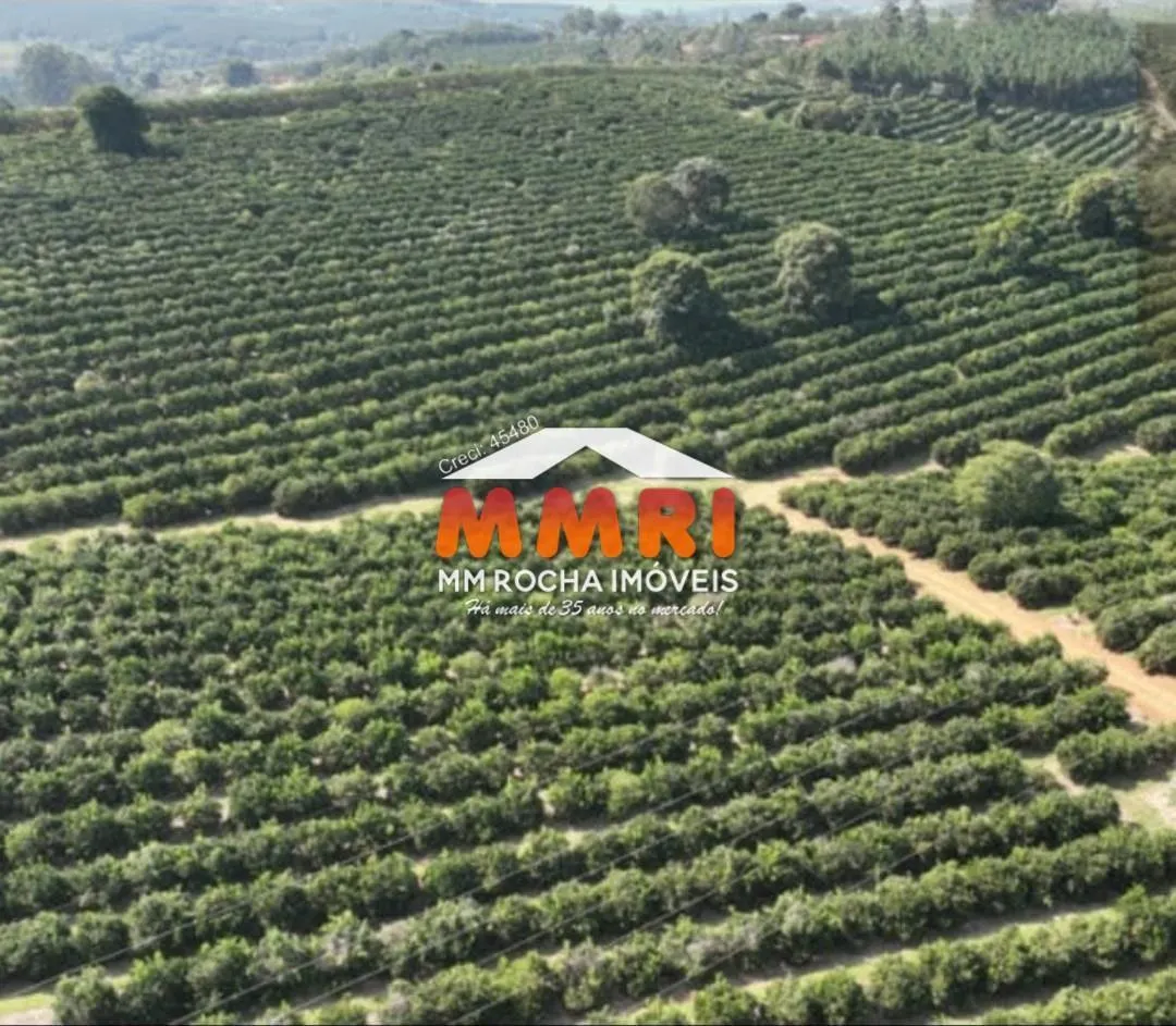 Fazenda à venda de 170 ha em Angatuba, SP, Brasil