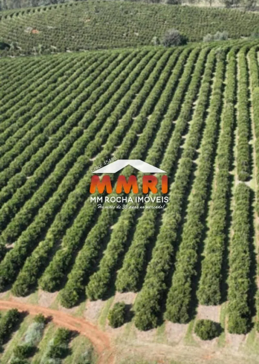 Fazenda à venda de 170 ha em Angatuba, SP, Brasil