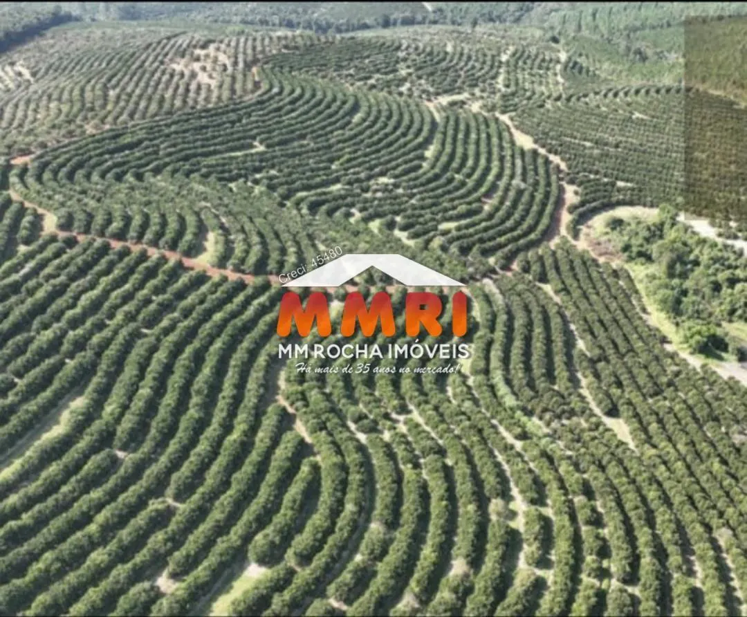 Fazenda à venda de 170 ha em Angatuba, SP, Brasil