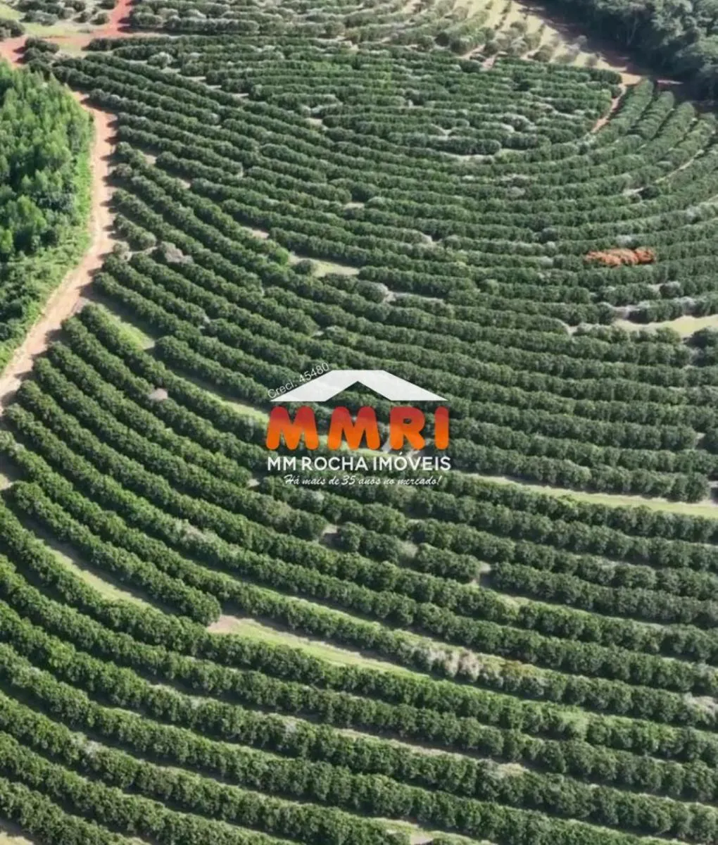 Fazenda à venda de 170 ha em Angatuba, SP, Brasil