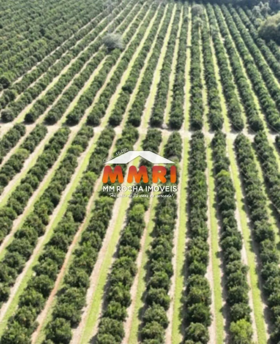 Fazenda à venda de 170 ha em Angatuba, SP, Brasil
