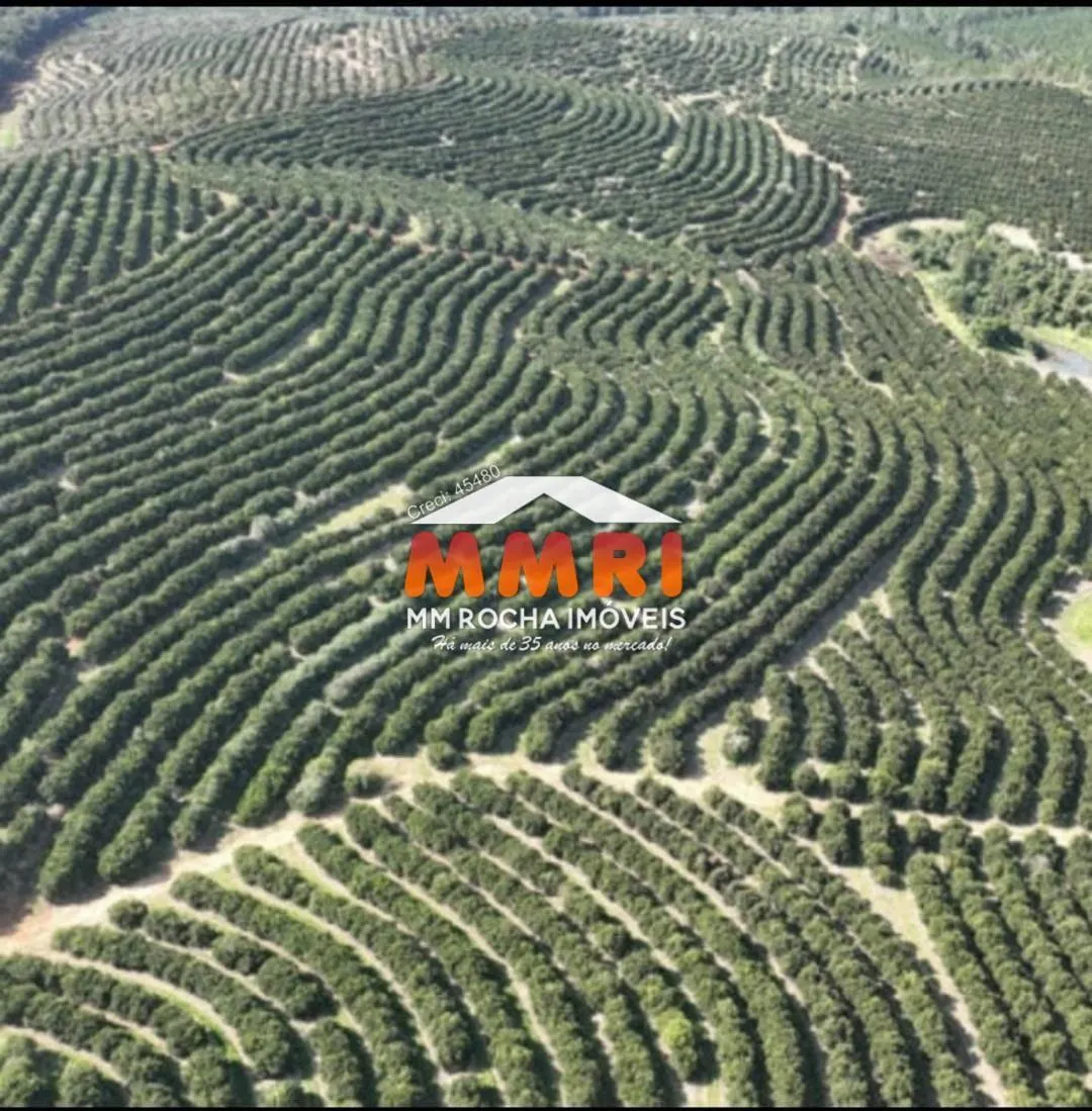 Fazenda à venda de 170 ha em Angatuba, SP, Brasil