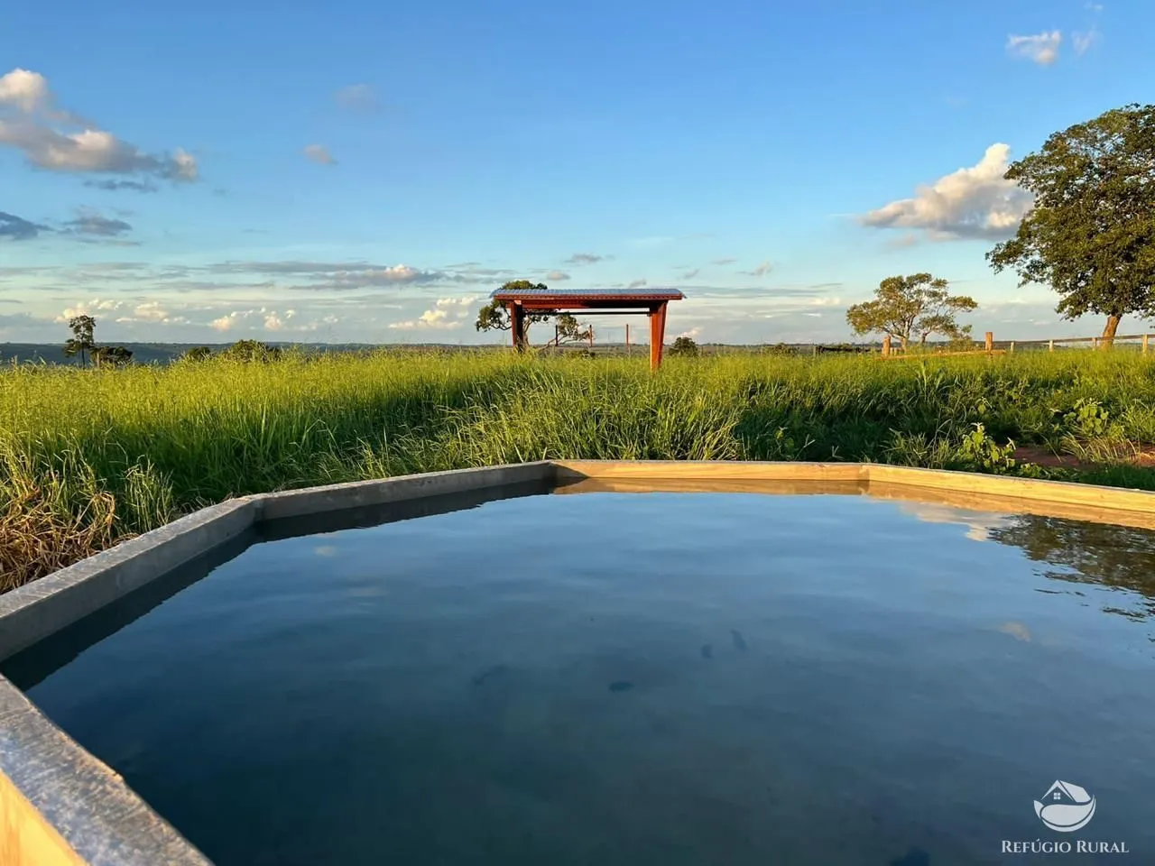 Fazenda à venda de 192 ha em Campina Verde, MG, Brasil