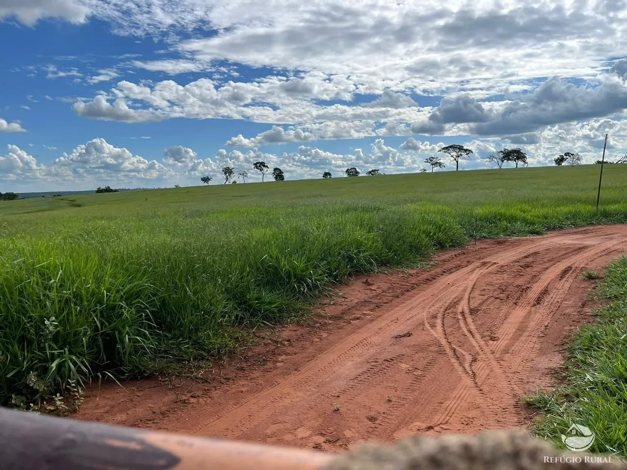 Fazenda à venda de 192 ha em Campina Verde, MG, Brasil