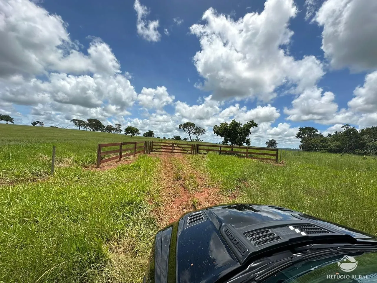 Fazenda à venda de 192 ha em Campina Verde, MG, Brasil