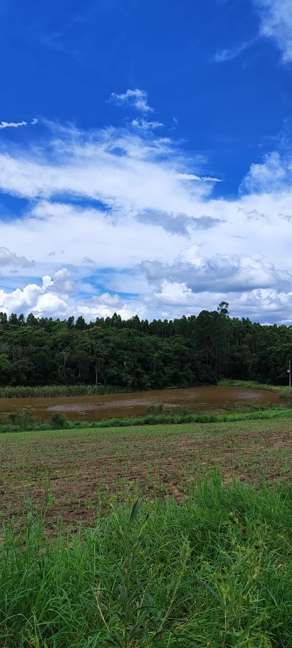 Fazenda à venda de 182 ha em São Miguel Arcanjo, SP, Brasil