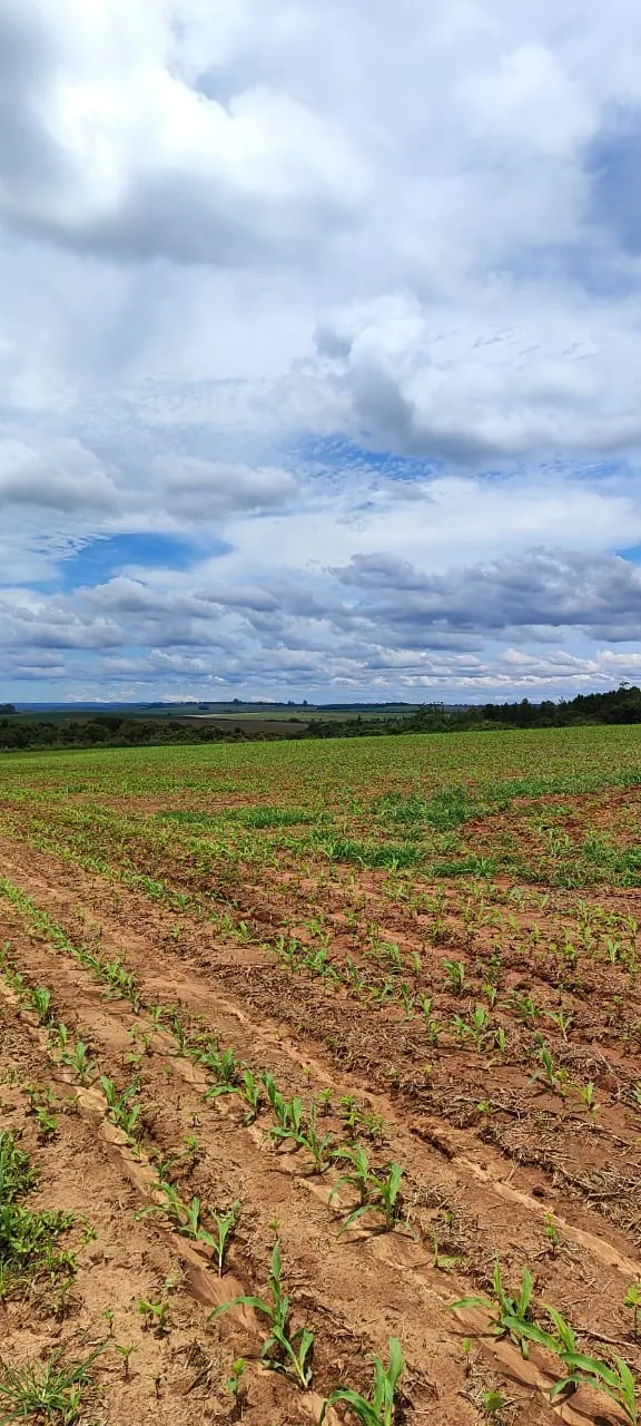 Fazenda à venda de 182 ha em São Miguel Arcanjo, SP, Brasil