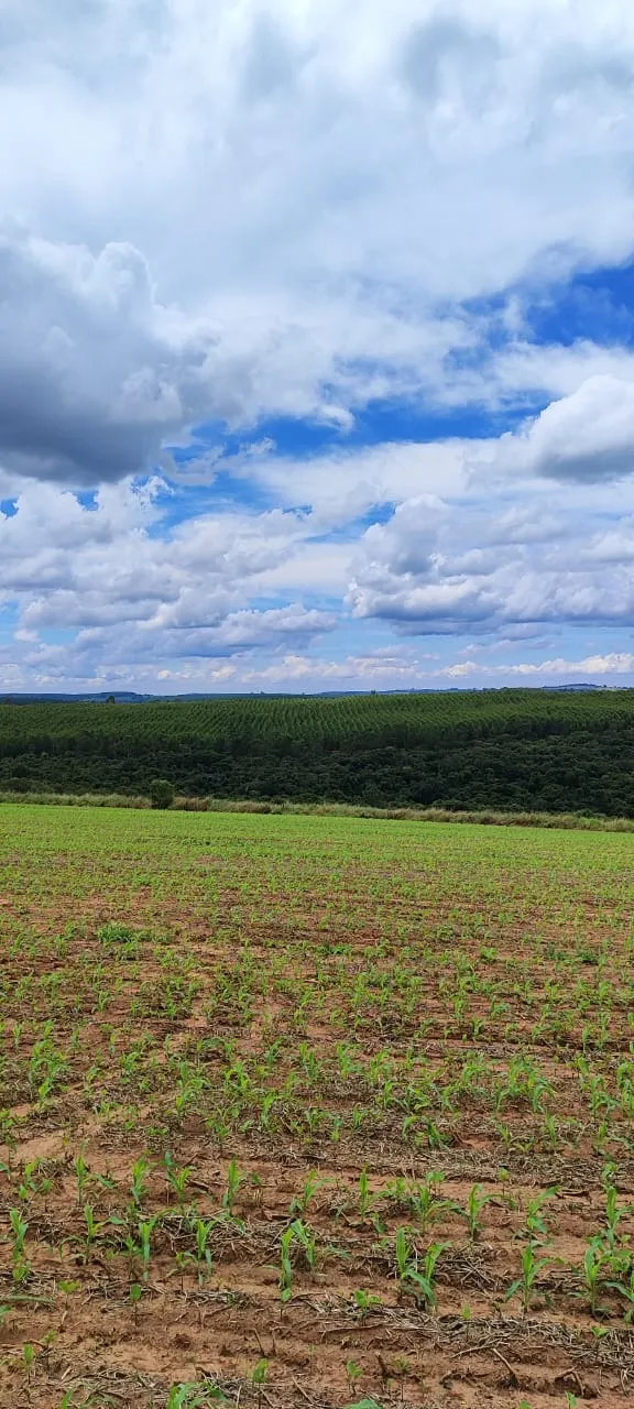 Fazenda à venda de 182 ha em São Miguel Arcanjo, SP, Brasil
