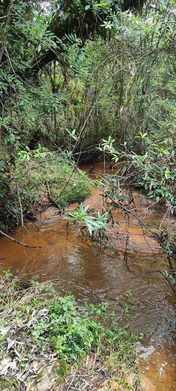 Fazenda à venda de 182 ha em São Miguel Arcanjo, SP, Brasil