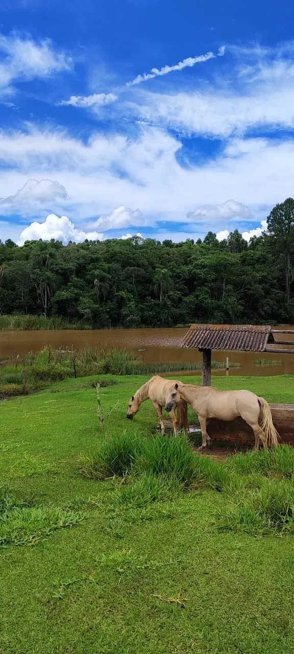Fazenda à venda de 182 ha em São Miguel Arcanjo, SP, Brasil