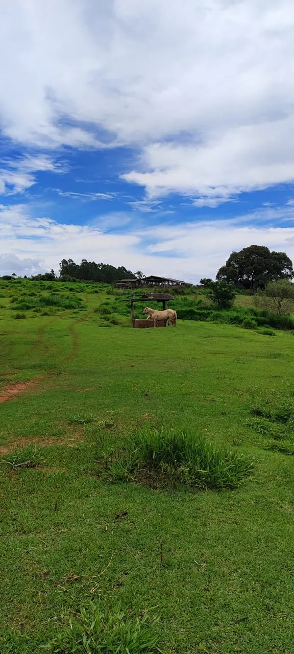 Fazenda à venda de 182 ha em São Miguel Arcanjo, SP, Brasil