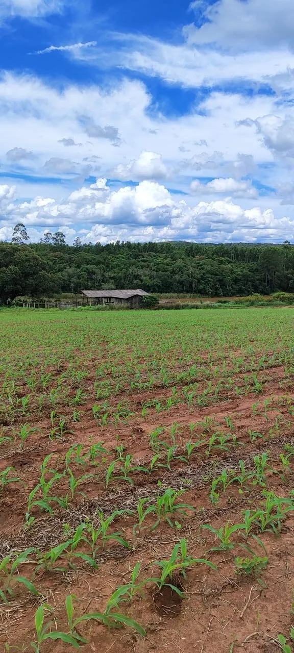 Fazenda à venda de 182 ha em São Miguel Arcanjo, SP, Brasil